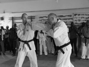 des stages de nihon kenpo nationaux et internationaux