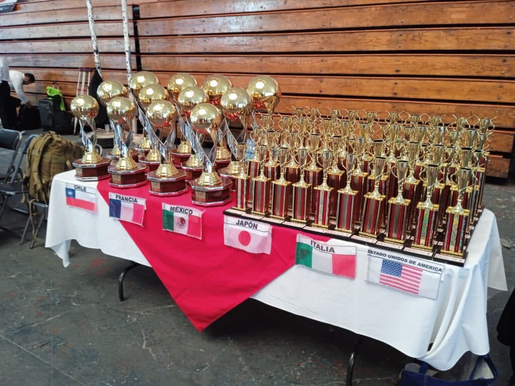 Tournoi du Mexique