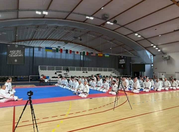 Groupe nippon kempo international