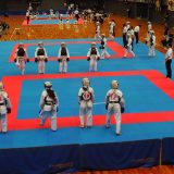 Combattantes japonaises de Nippon Kempo à Osaka en 2017