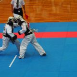 Combats de japonaise à Osaka en 2017