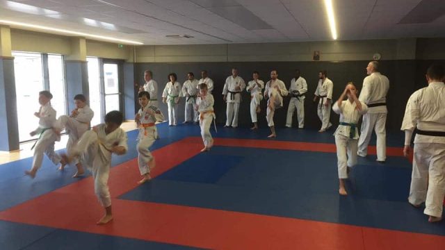 Stage combat et arbitrage organisé par le dojo de Baccarat