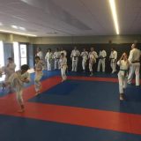 Stage combat et arbitrage organisé par le dojo de Baccarat