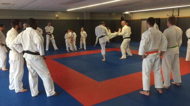 Présentation des techniques de combat de Nippon Kempo