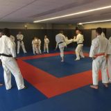 Présentation des techniques de combat de Nippon Kempo