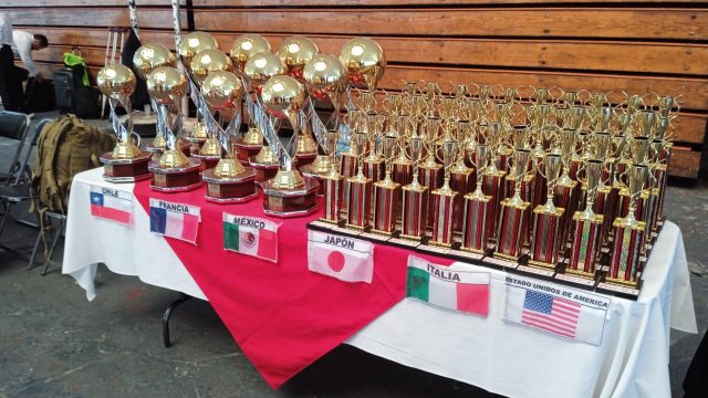 Coupe tournoi mondial Nippon Kempo 2024 Mexique Coupe tournoi mondial Nippon Kempo 2024 Mexique