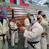 Japanese Teams Nippon Kempo